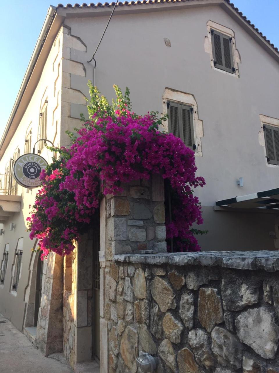 Alicelia Boutique Inn Ithaka Exteriér fotografie